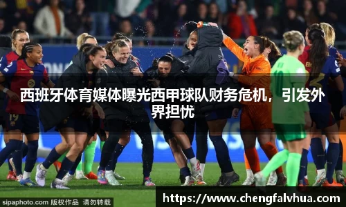 西班牙体育媒体曝光西甲球队财务危机，引发外界担忧