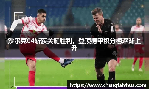 沙尔克04斩获关键胜利，登顶德甲积分榜逐渐上升