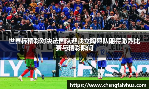 世界杯精彩对决法国队迎战立陶宛队期待激烈比赛与精彩瞬间