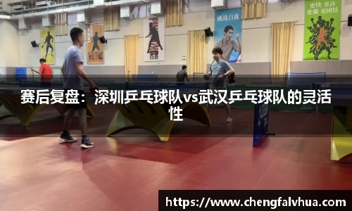 赛后复盘：深圳乒乓球队vs武汉乒乓球队的灵活性