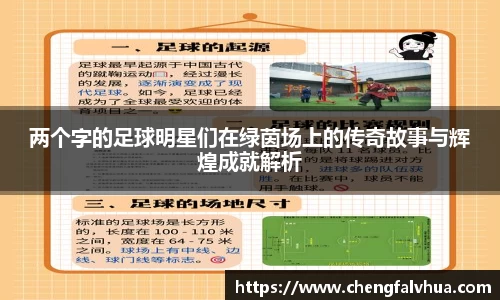 两个字的足球明星们在绿茵场上的传奇故事与辉煌成就解析